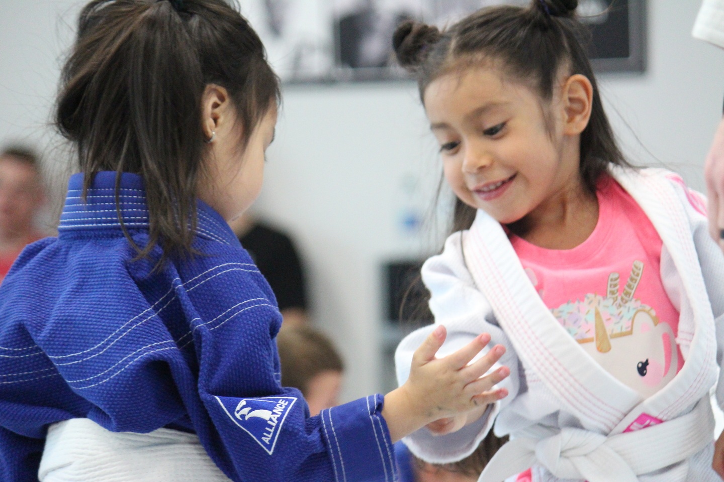 Houston Brazilian Jiu-Jitsu Program Kids Program