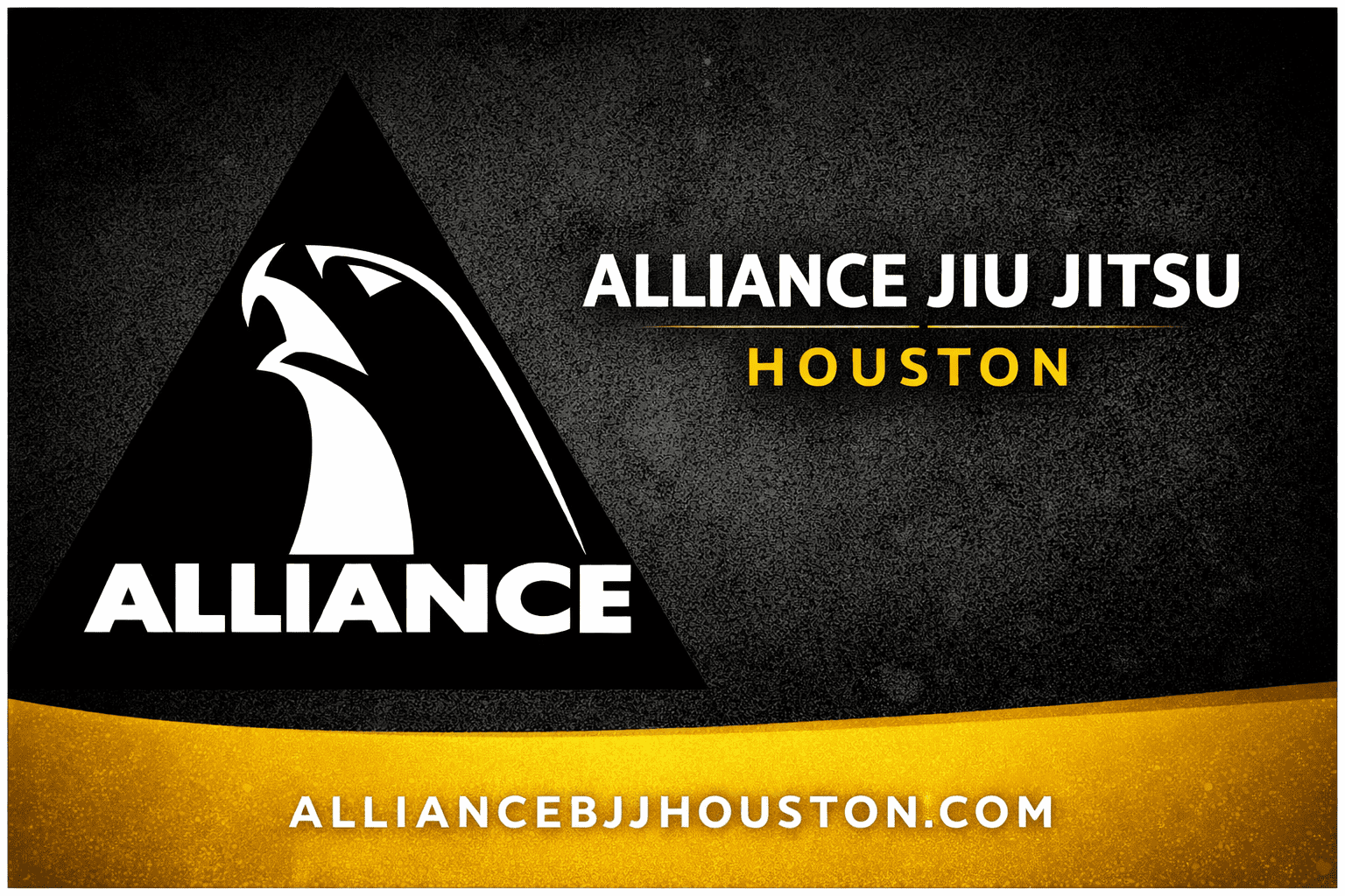 Alliance BJJ Houston | Brazilian Jiu-Jitsu in Pearland
