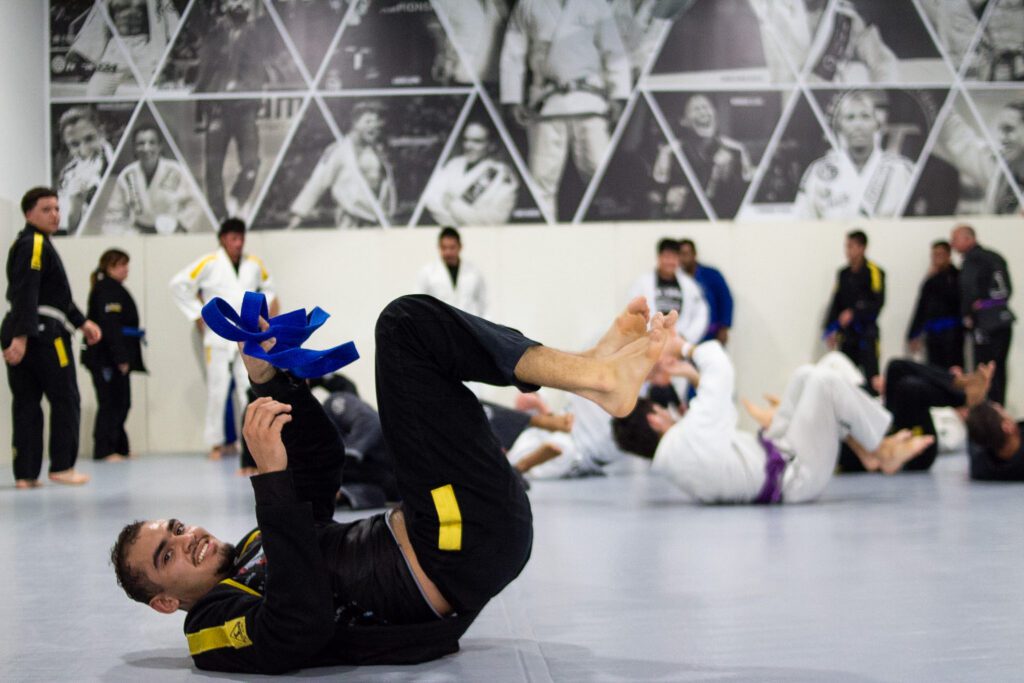 Stop And Smell The Armbars
