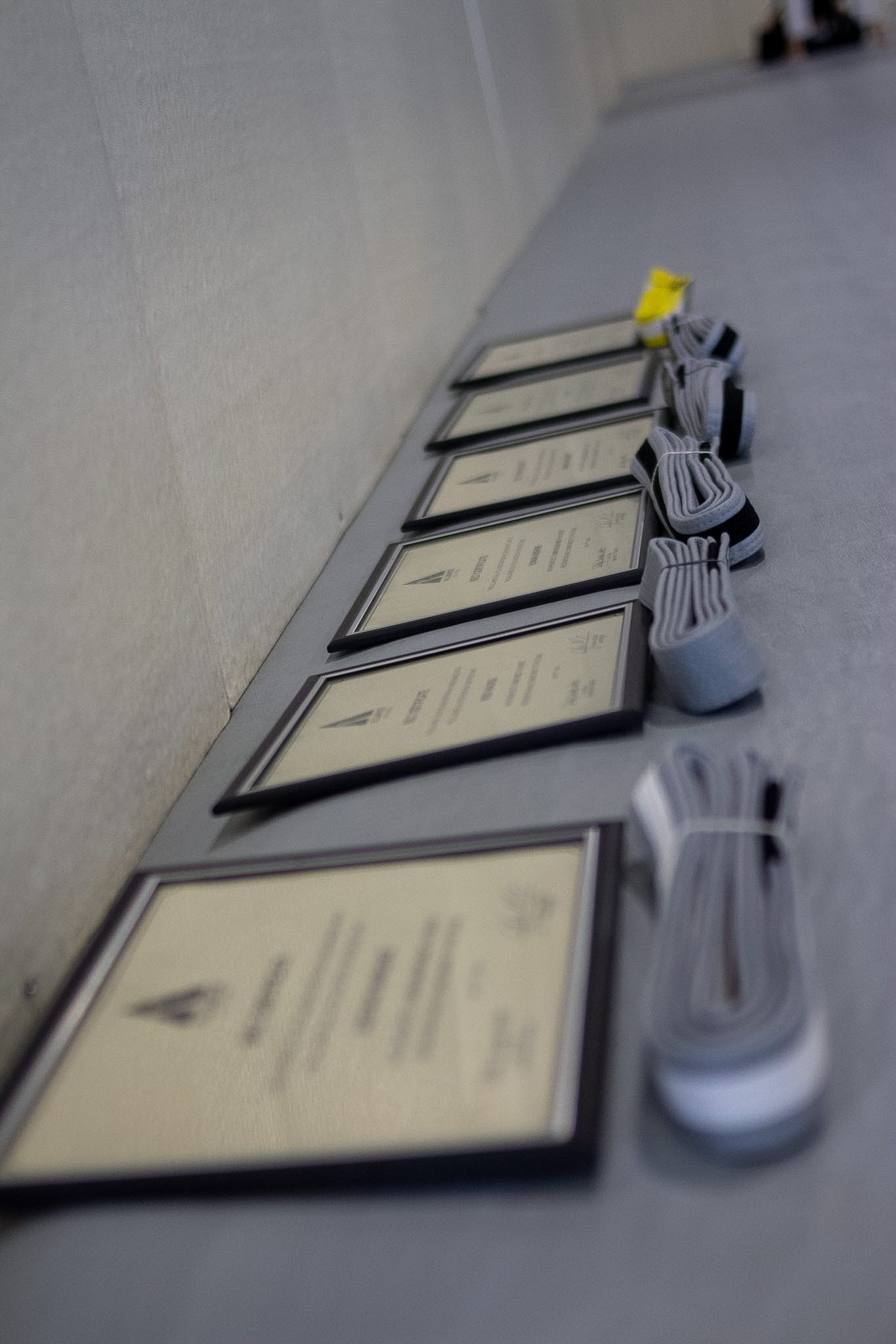 Row of framed Alliance belt certificates with grey belts arranged on the mat